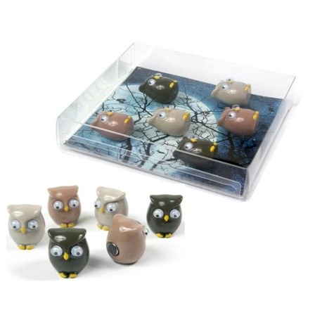 Mini fridge magnets OwlAnimal Magnets