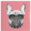 Gallery Magnet Cool Dog